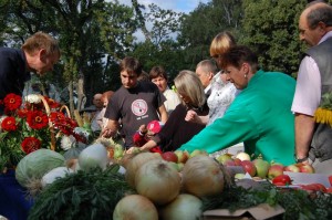 dozynki-powiatowe-ostrow_05