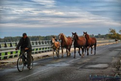 Jeziorzany_foto_Piotr_Opolski_59