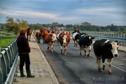 Jeziorzany_foto_Piotr_Opolski_60