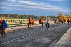 Jeziorzany_foto_Piotr_Opolski_61