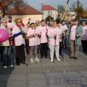 Obraz 093