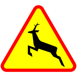 uwagaDziki