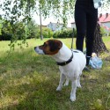 festynsp4DSC_2430_1024_678