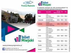 Bilet miejski Lubartow