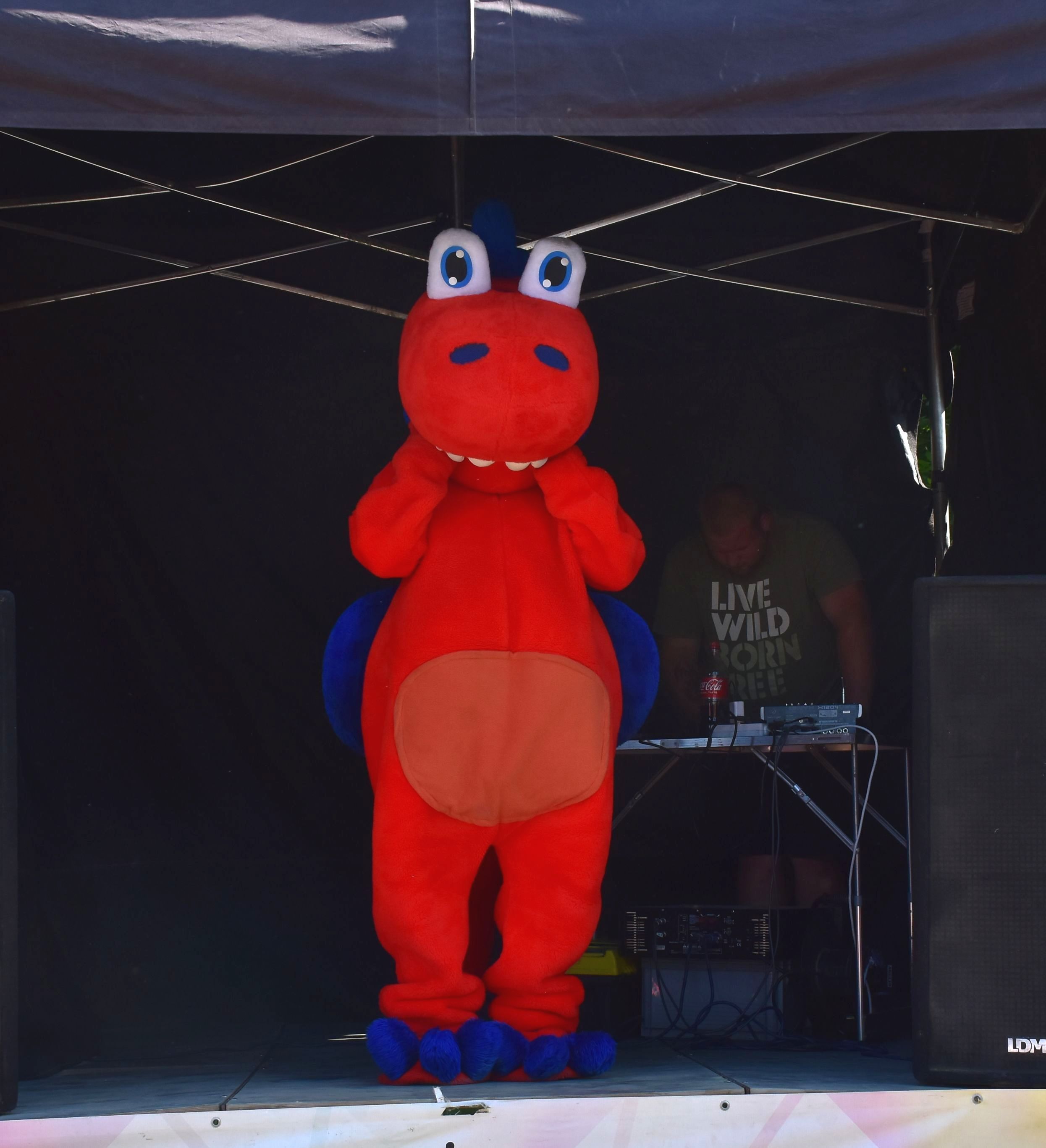 Dzień kolorów i baniek mydlanych w lubartowskim parku