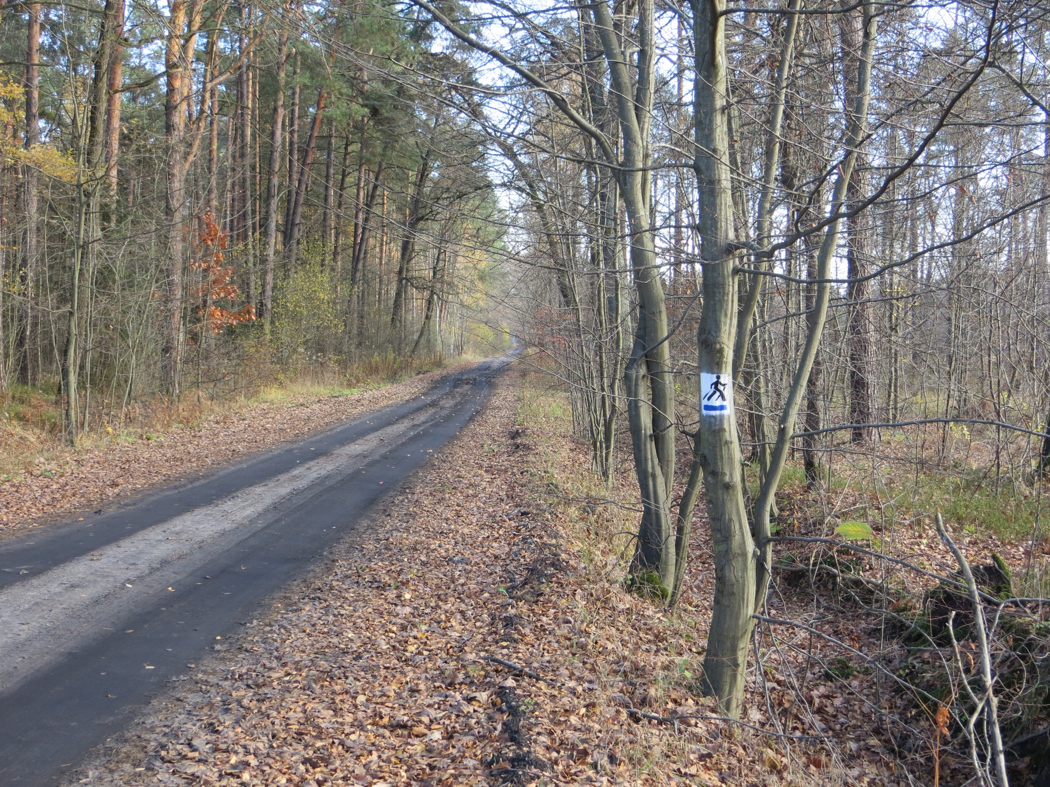NOWA TRASA ROWEROWA I TRASY NORDIC WALKING