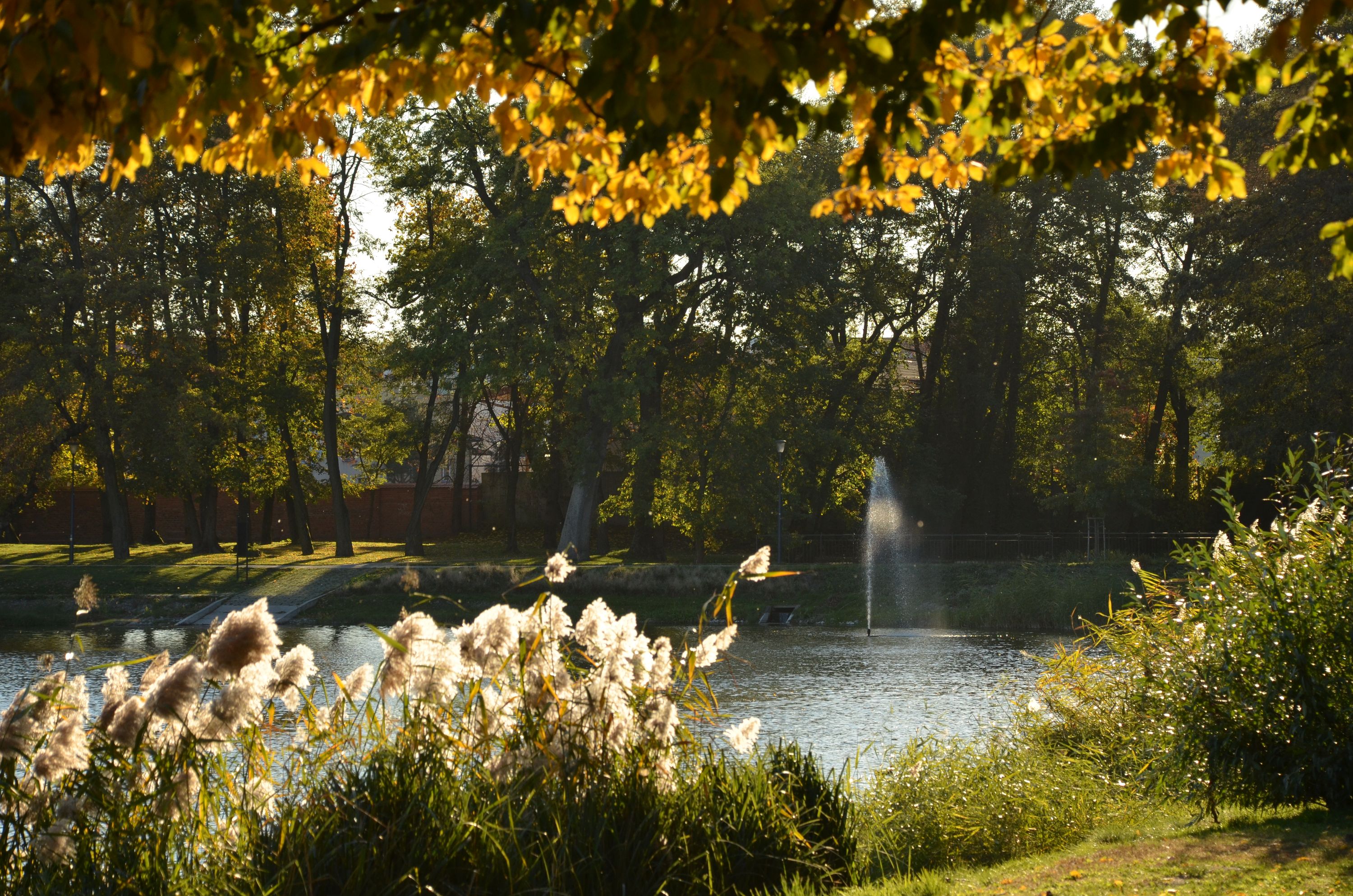 Jesienne kadry Lubartowa