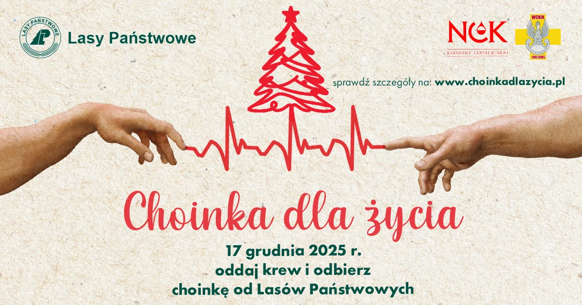 Choinka w zamian za kroplę życia. Świąteczna akcja krwiodawców w Lubartowie